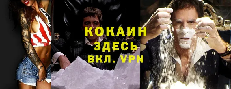 Cocaine Fish Scale  продажа наркотиков  блэк спрут рабочий сайт  Кирово-Чепецк 