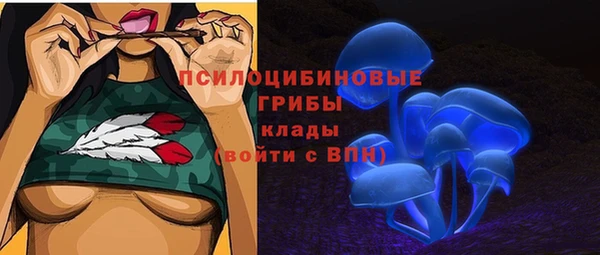 гидропоника Кукмор