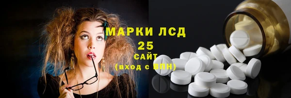 гашик Ладушкин