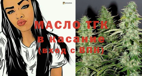 гашик Ладушкин
