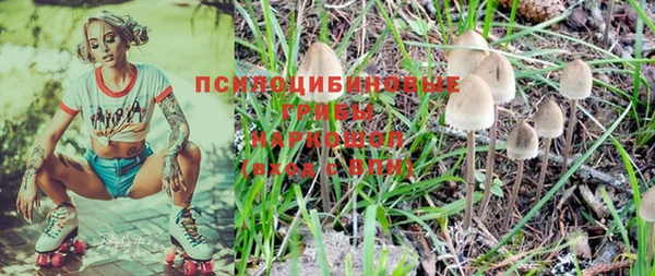 гидропоника Кукмор