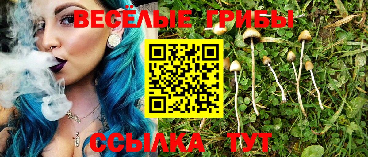 Мяу-Мяу  NBOMe  Кирово-Чепецк  КОКАИН  МДМА  Вход с VPN  Канабис  ГАШИШ  Диски 